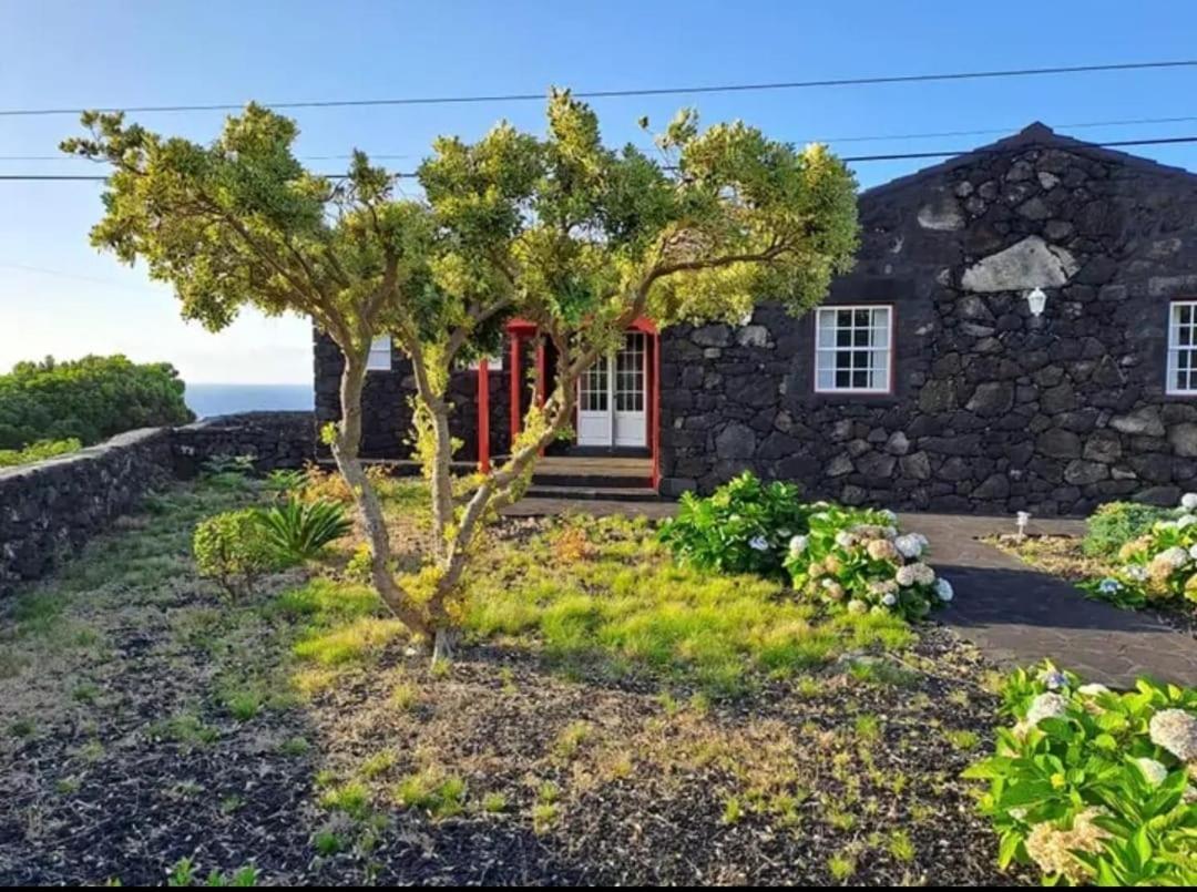 O Abrigo * Laje (Pico Island)